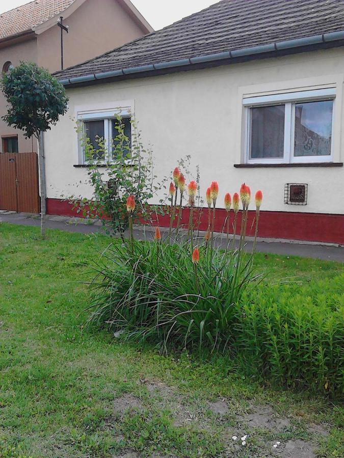 Ferienwohnung Toth Maganszallas Hajdúszoboszló Exterior foto